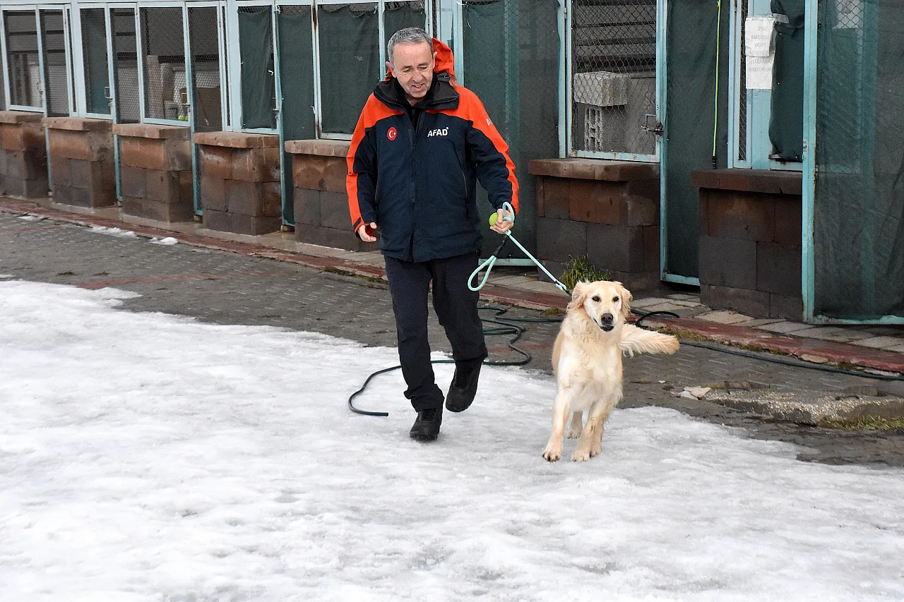 Malatya Unutmadı! Sessiz Kahraman Köpük Göreve Hazır!