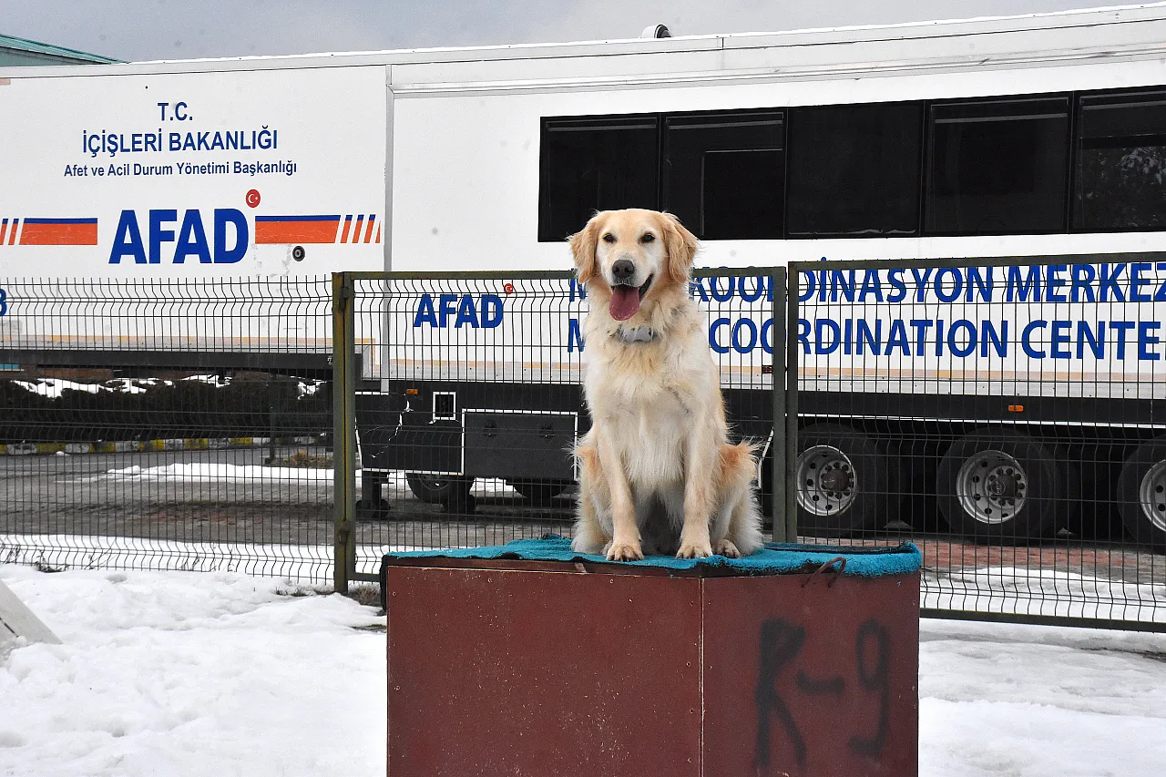 Malatya Unutmadı! Sessiz Kahraman Köpük Göreve Hazır!