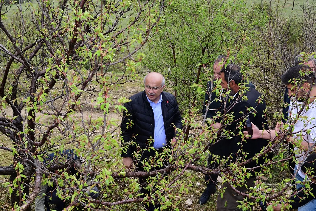 Başkan Sami Er Dolu Mağduru İlçelerde! Hasar Envanteri Çıkarılıyor