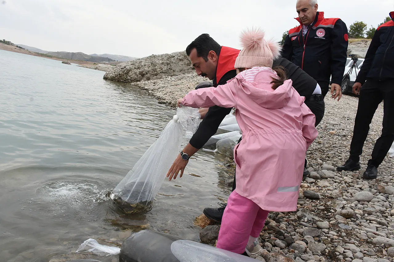 Malatya'da Depremden Etkilenen Barajda Yeniden Balıklandırma Başladı!