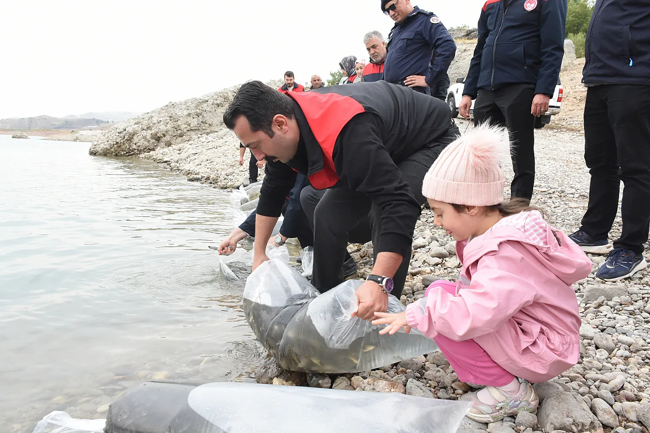 Malatya'da Depremden Etkilenen Barajda Yeniden Balıklandırma Başladı!
