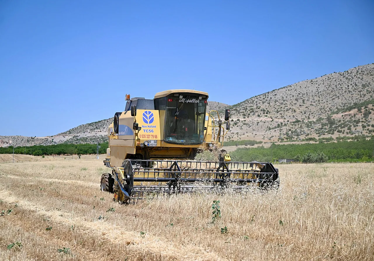 Malatya Yeşilyurt'ta 150 Dönümlük Arpa Hasadı Tamamlandı! Ürünler Üreticilere Dağıtılacak