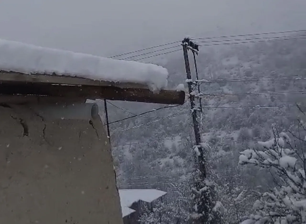 Darende'de 20 Santim Kar! Kayısı Dalında Donma Tehlikesiyle Burun Buruna