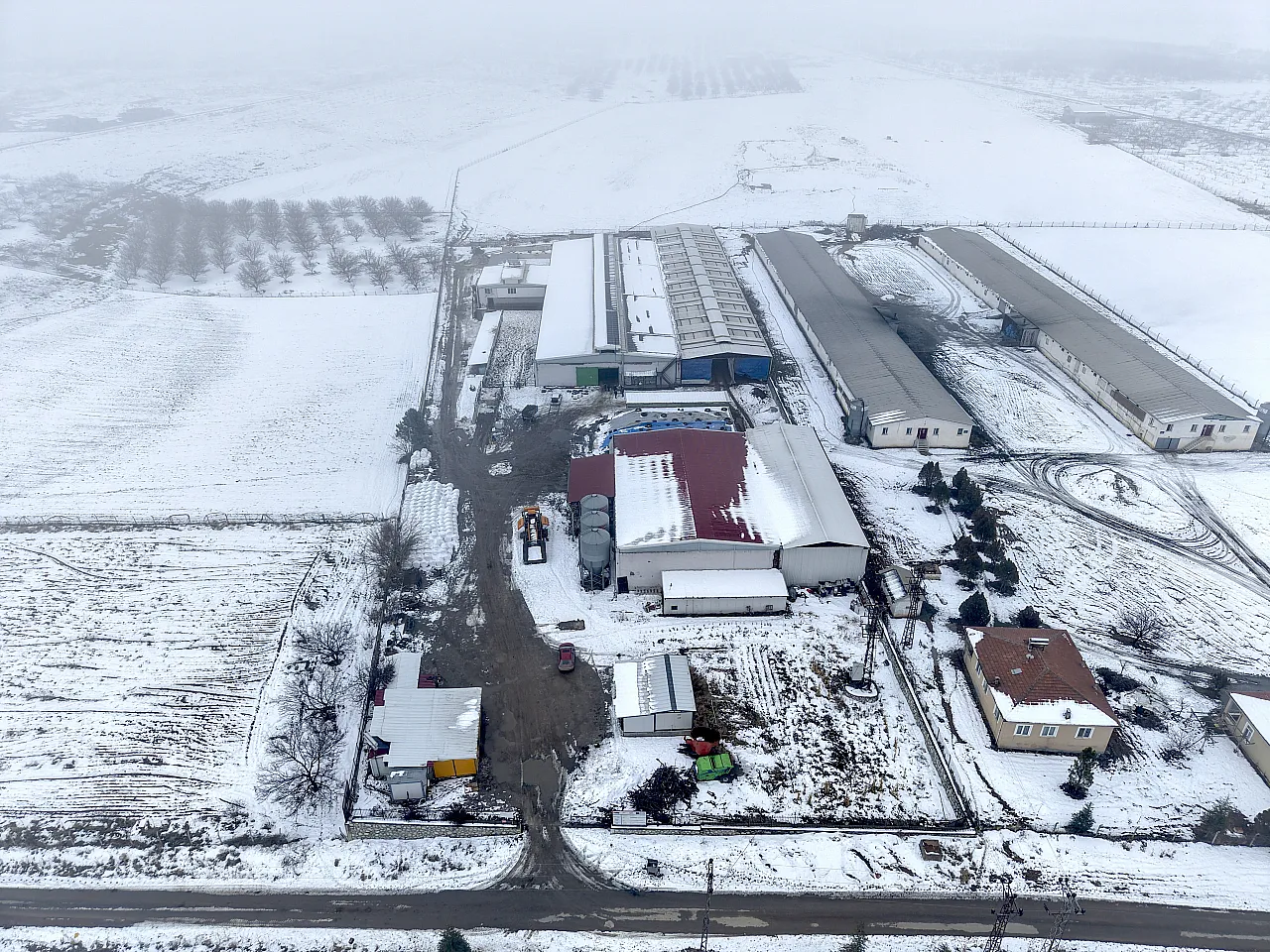 Malatya'da Bir Üreticinin Umut Yolculuğu! 17 Kayıptan 400'e Yükseldi