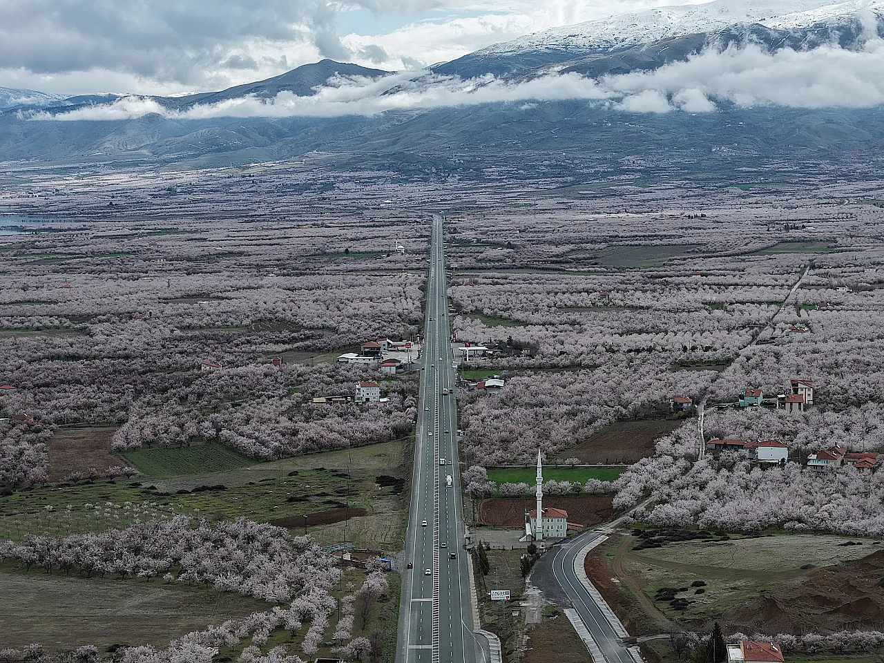 Dünya Kayısı Başkenti Malatya'da Görsel Şölen: Bahçeler Beyaza Büründü!