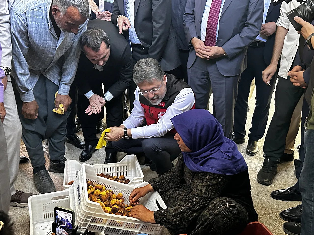 Malatya'da Kayısı Bahçelerinde Bakan Yumaklı Hasada Katıldı!