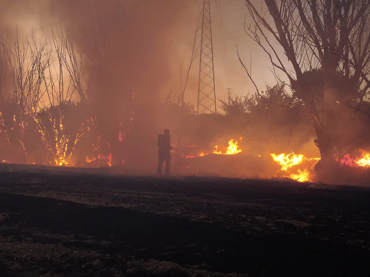 Malatya'da Anız Alevleri Yükseldi! Olası Felaket Önlendi