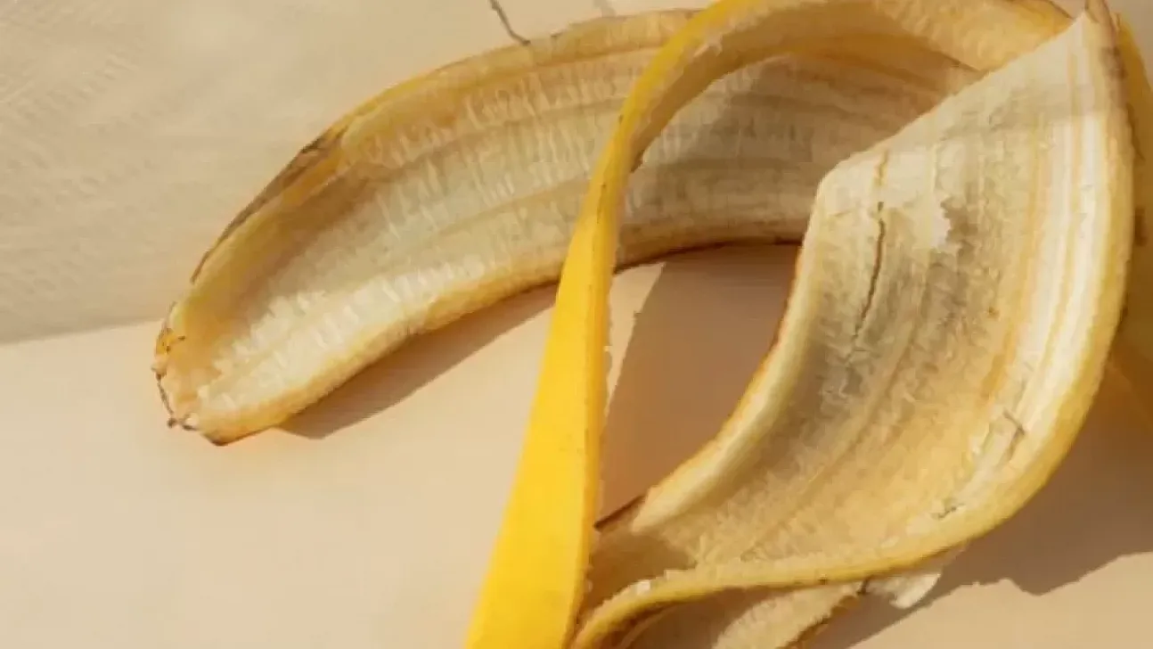 Muz Kabuğu Gübresinin Şaşırtan Etkisi! Doğru Hazırlandığında Kışın Bile Çiçek Açtırıyor