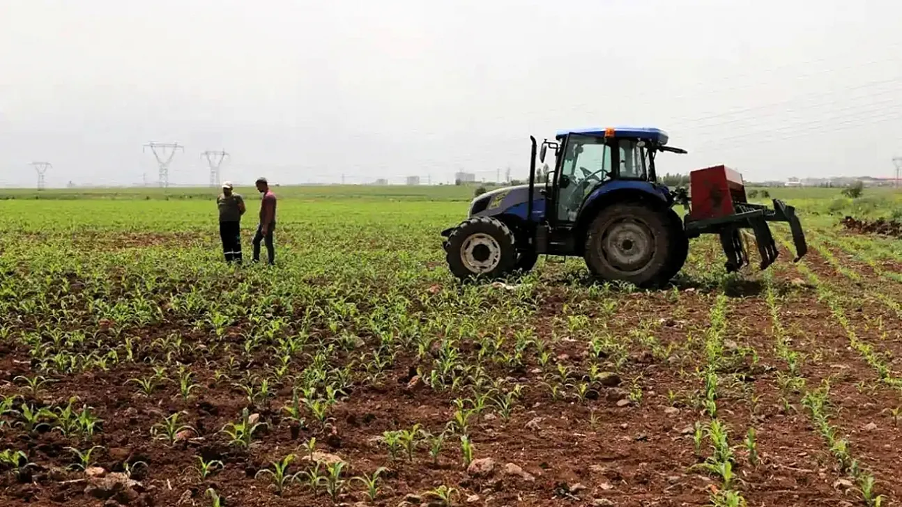 Tarım Ürünlerinde Dikkat Çeken Fiyat Hareketi! Artış Da Var Düşüş De