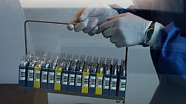 Belçika'da Batı Nil Virüsü Alarmı! Vaka Sayısı Yükseliyor