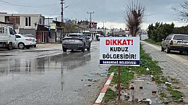 Hatay'da Kuduz Alarmı: 4 Mahalle Karantinada
