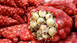 Türkiye'nin Kuru Soğan İhracatında Rekor Artış!