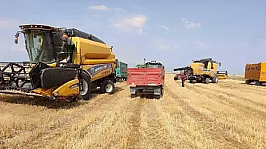 Türkiye'nin Tarım İhracatında En Çok Satış Yaptığı Ülkeler Belli Oldu
