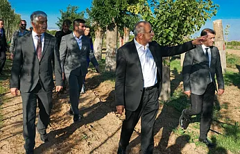 Malatya'da Yeşil Seferberlik! Her Yıl 20 Bin Fidan Üretiliyor
