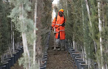Battalgazi'de Çarşıbaşı Rekreasyon Alanı Hızla Yükseliyor