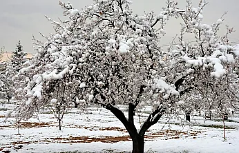 Çiftçilerin Dikkatine! Son Gün 31 Aralık