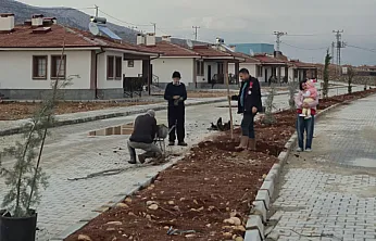 Doğanşehir'de Yeni Yaşam Alanları Yeşilleniyor!