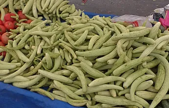 Fiyatları Gören Bidon Sayısını Düşürdü!  Bu Yıl Turşu Kurmak Aile Bütçesini Nasıl Etkileyecek?