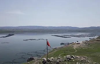 Hangi Sektör Malatya'yı Şahlandırıyor? İşte 7 Bin 500 Tonluk O Başarı Hikayesi