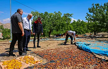 Hekimhan'da Ekipler Tarlalarda Hasar Tespitine Başladı!