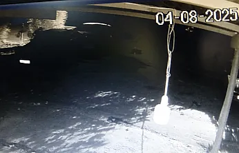 Hırsızlık girişimi kamerada! Araç kapılarını tek tek yokladı