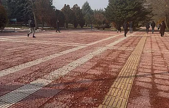 İnönü Üniversitesi'nde Arazi Yolu Manzarası!