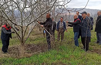 Kale'de Meyve Üreticisine Budama Dersi: Yanlış Budama Verimi Düşürüyor!