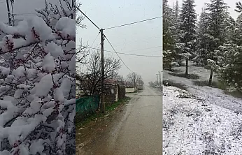Kayısı Bahçelerinde Don Alarmı! Doğanşehir Beyaza Büründü