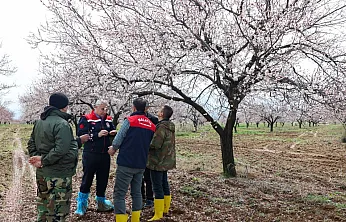 Kayısıyı Dolu Vurdu mu? Malatya'da Kayısı İçin Kritik Açıklama!