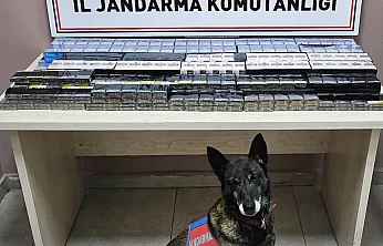 Malatya Yolu Üzerinde Jandarmadan Tır Operasyonu:Kaçak Sevkiyat Durduruldu