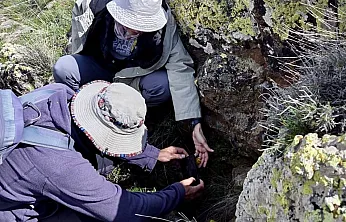 Köy Köy Gezip Aradılar! Malatya'da Dev Flora Projesi Start Aldı