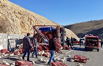 Malatya Akçadağ'da Kamyon Devrildi Yüzlerce Tavuk Telef Oldu