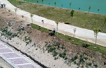 Malatya Battalgazi'de Binlerce Bitki Toprakla Buluşuyor!