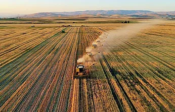 Malatya Çiftçisi Alarm Veriyor! Meyve ve Sebzede Büyük Kayıp!