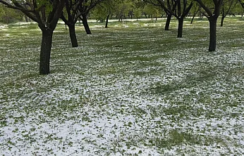 Malatya'da 10 Dakikalık Dolu Kabusu! Yollar Beyaza Büründü, Tarım Arazileri Zarar Gördü