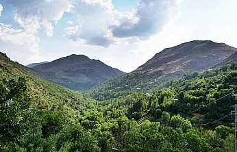 Malatya'da 62 Yangın Sonrası Çağrı! Herkes Dikkatli Olsun
