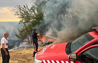 Malatya'da Alevler Besi Alanını Sardı! Yangın Söndürüldü