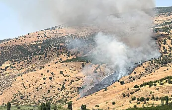 Malatya'da Alevler Ormanlık Alana Sıçradı! Müdahale Sürüyor