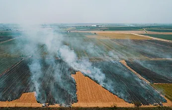 Malatya'da Anız Yakmanın Görünmeyen Bedeli Ortaya Çıktı!
