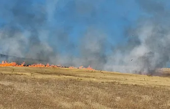 Malatya'da Anızlar Alev Aldı! Yangının Bilançosu Belli Oldu