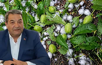 Malatya'da Dolu Kayısıyı Vurdu, Hasar Tespiti Başlayacak mı?