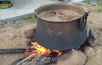 Malatya'da Dut Bereketi Başladı! Kazanlar Pekmez İçin Kaynıyor