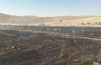 Malatya'da Ekin Tarlası Alevlere Teslim Oldu!