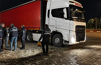 Malatya'da Feci Kaza! Tırın Çarptığı Yaya Kurtarılamadı