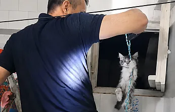 Malatya'da Havalandırma Boşluğundaki Minik Can Kurtuldu!