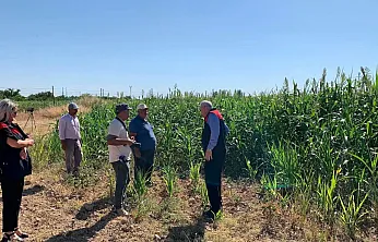 Malatya'da Hayvancılığı Değiştirecek Proje! Tarlalarda İlk Sonuçlar Geldi