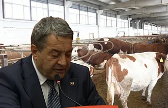 Malatya'da Hayvancılık Alarmı: Vaatler Havada Kaldı, Besici İsyanda!