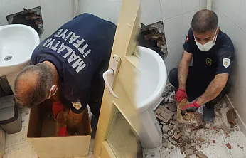 Malatya'da İki Bina Arasında Mahsur Kalan Kedi Kurtarıldı!