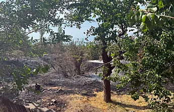 Malatya'da İki İlçeyi Ayağa Kaldıran Yangın Rüzgarla Yayıldı!
