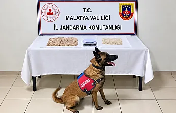 Malatya'da Jandarmadan Uyuşturucu Darbesi! Ele Geçirilen Miktar Dikkat Çekti